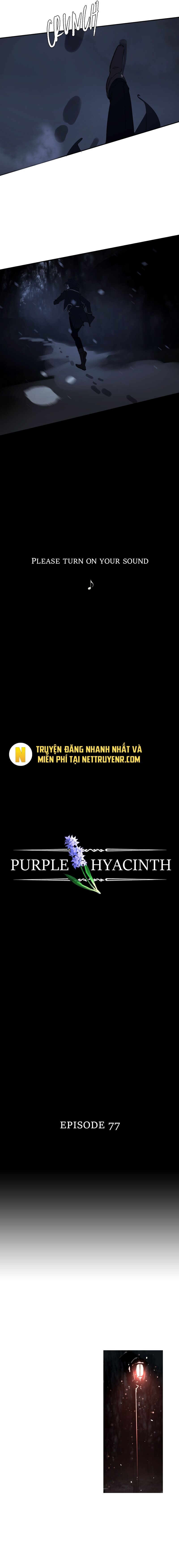 Hoa Lục Bình Tím Chapter 77.1 - 4