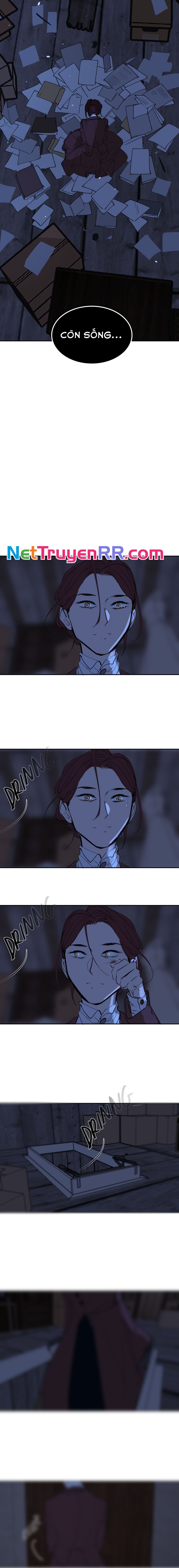 Hoa Lục Bình Tím Chapter 78.3 - 2