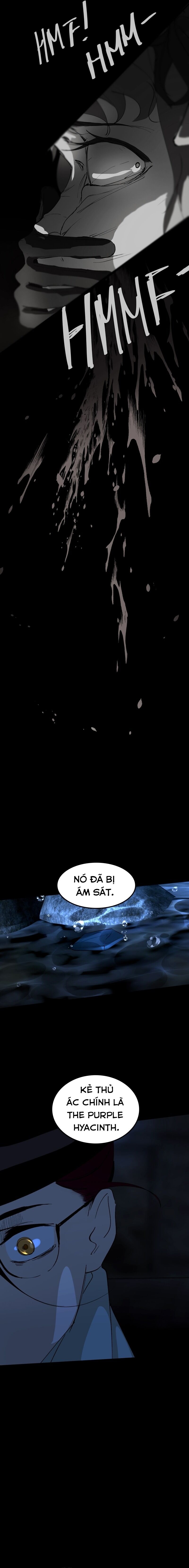 Hoa Lục Bình Tím Chapter 90.1 - 4