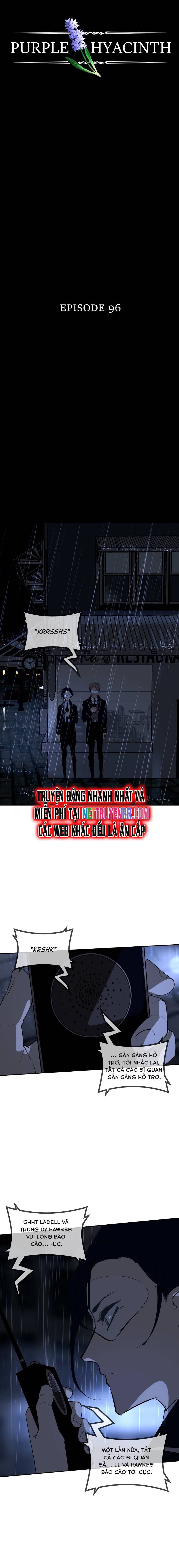 Hoa Lục Bình Tím Chapter 96 - 6