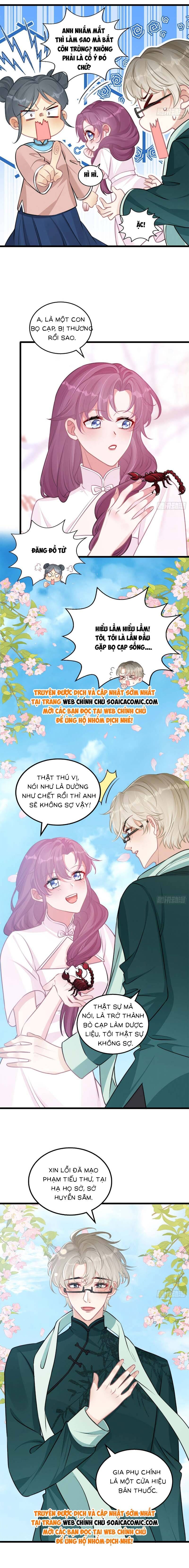 Đừng Trêu Chọc! Độc Nữ Trọng Sinh Chỉ Vì Báo Thù Chapter 4 - 9