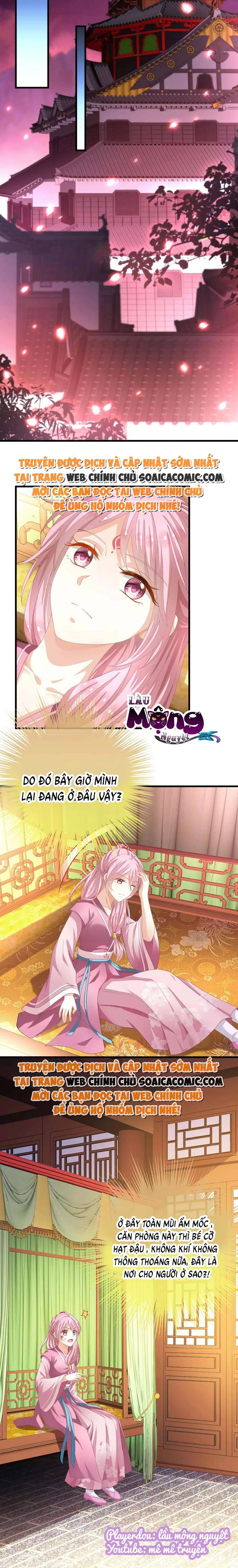 Xuyên Thành Bách Vạn Thiên Kim Phản Công Chapter 4 - 7