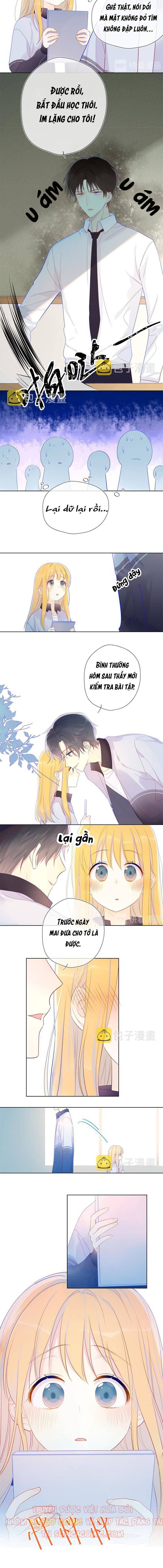 Ngôi Sao Dành Cho Tôi Chapter 12 - 4