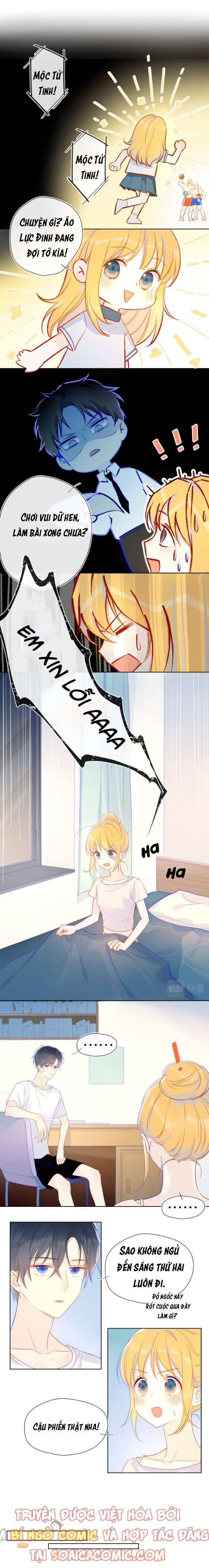 Ngôi Sao Dành Cho Tôi Chapter 4 - 4