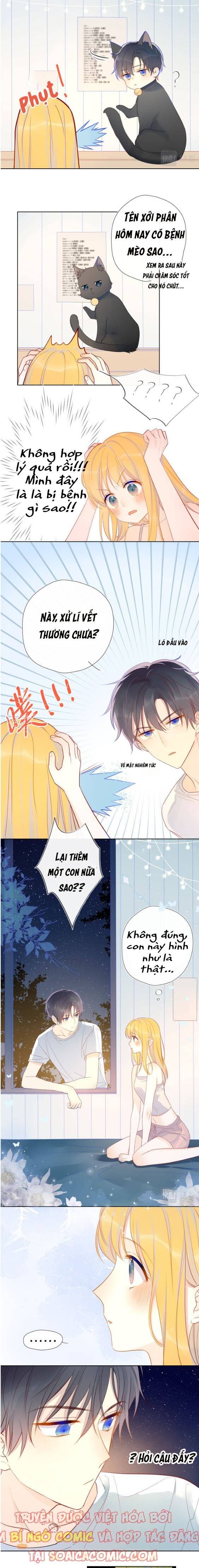 Ngôi Sao Dành Cho Tôi Chapter 6 - 3