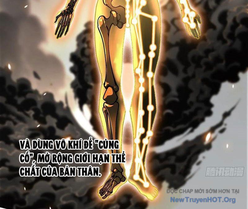Cao Võ Tiến Hóa: Bắt Đầu Thức Tỉnh Quái Thú Chi Vương Chapter 47 - 27