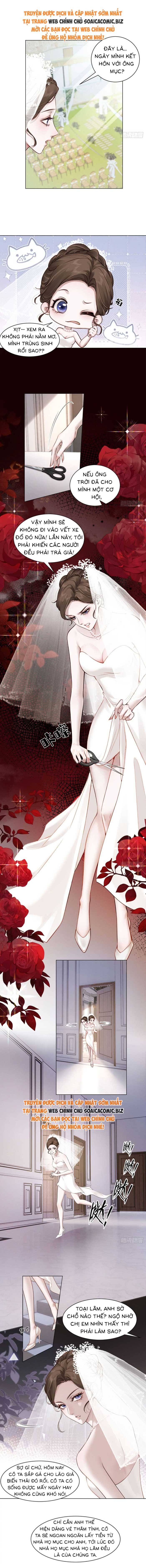 Hôn Nhân Chớp Nhoáng Với Thái Tử Tộc Sói Chapter 1 - 3