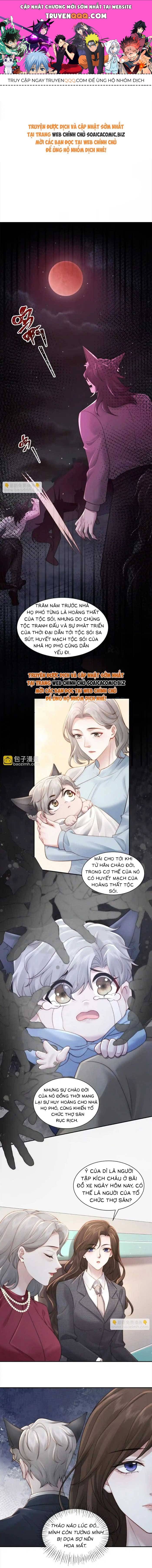 Hôn Nhân Chớp Nhoáng Với Thái Tử Tộc Sói Chapter 17 - 1