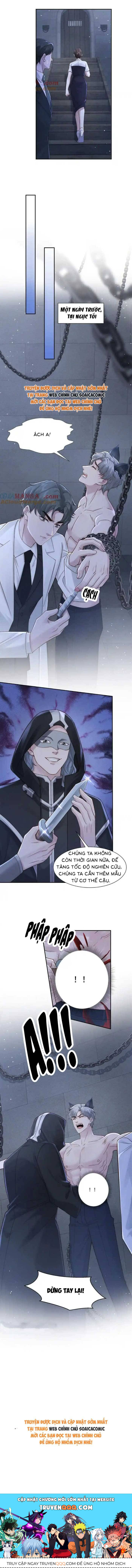 Hôn Nhân Chớp Nhoáng Với Thái Tử Tộc Sói Chapter 44 - 9