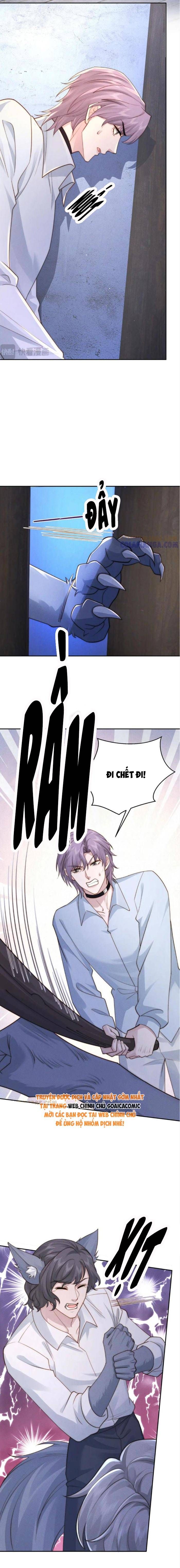 Hôn Nhân Chớp Nhoáng Với Thái Tử Tộc Sói Chapter 65 - 11