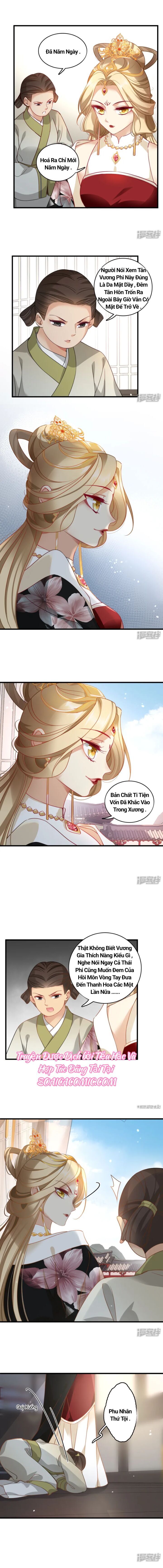 Nụ Cười Của Nàng Ngọt Làm Gãy 8 Cái Răng Của Ta Chapter 11 - 4