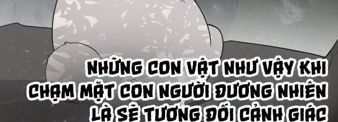 Kỷ Nguyên Siêu Anh Hùng Chapter 70 - 65