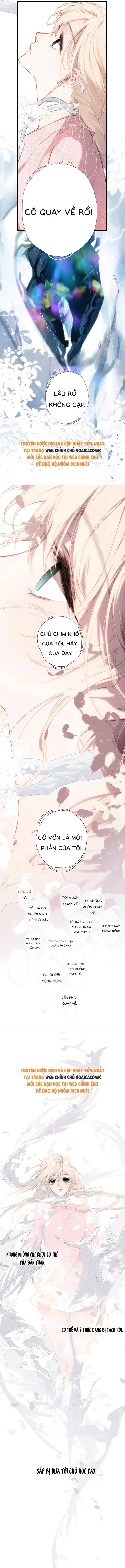 Tố Hồi Xuân Thời Chapter 36 - 4