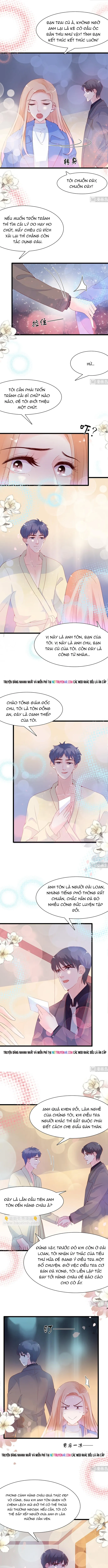 Chu Tiên Sinh, Ép Cưới Phạm Pháp Đó Chapter 104 - 2