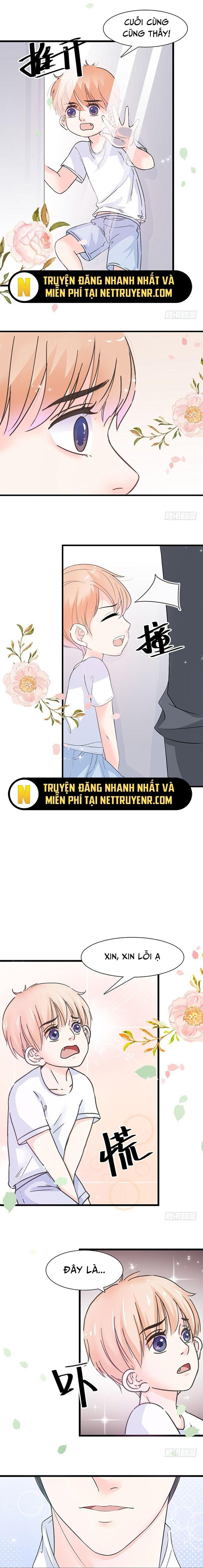 Chu Tiên Sinh, Ép Cưới Phạm Pháp Đó Chapter 11 - 5