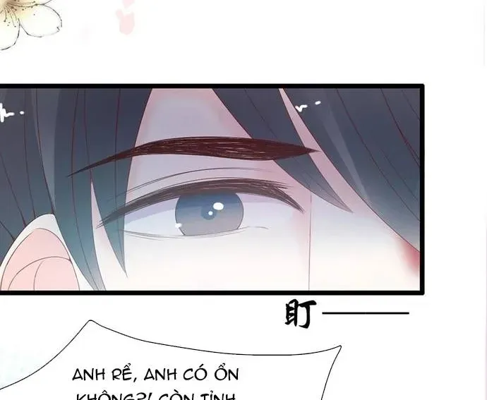 Chu Tiên Sinh, Ép Cưới Phạm Pháp Đó Chapter 119 - 59