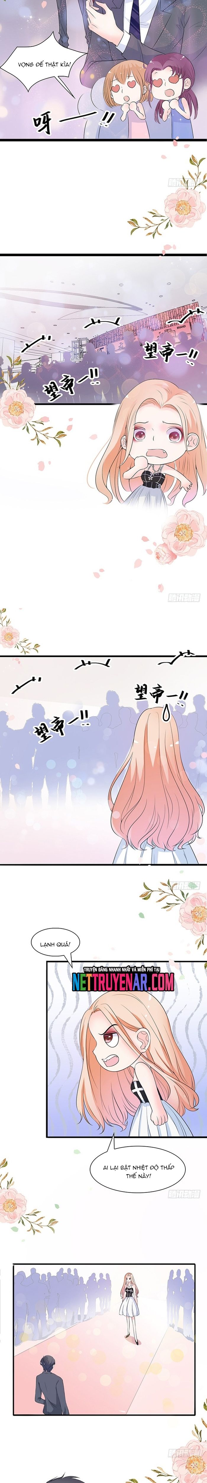 Chu Tiên Sinh, Ép Cưới Phạm Pháp Đó Chapter 36 - 4