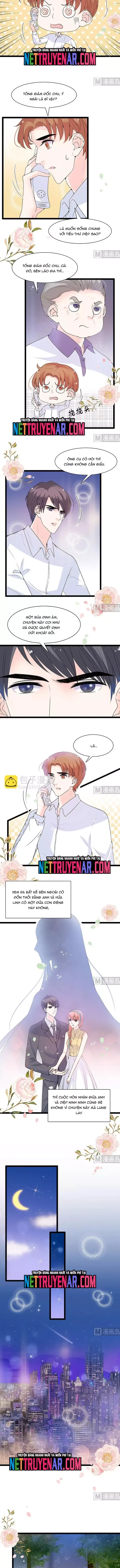Chu Tiên Sinh, Ép Cưới Phạm Pháp Đó Chapter 55 - 4