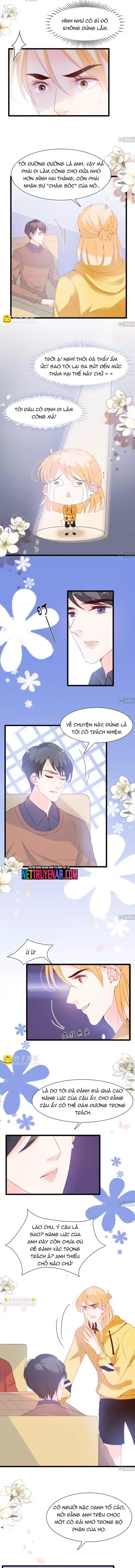 Chu Tiên Sinh, Ép Cưới Phạm Pháp Đó Chapter 66 - 3