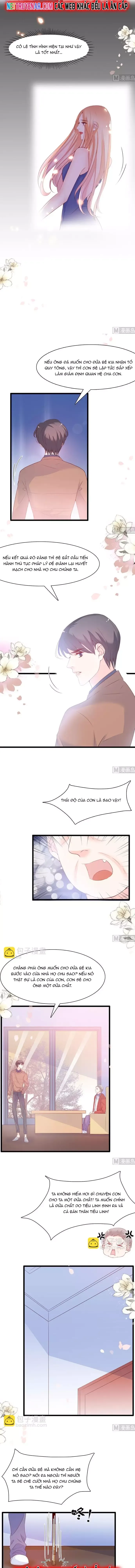 Chu Tiên Sinh, Ép Cưới Phạm Pháp Đó Chapter 67 - 3