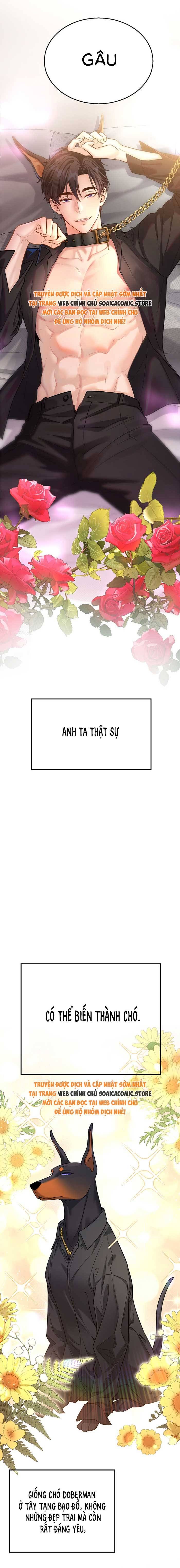 Tổng Tài Chó Chapter 0 - 2