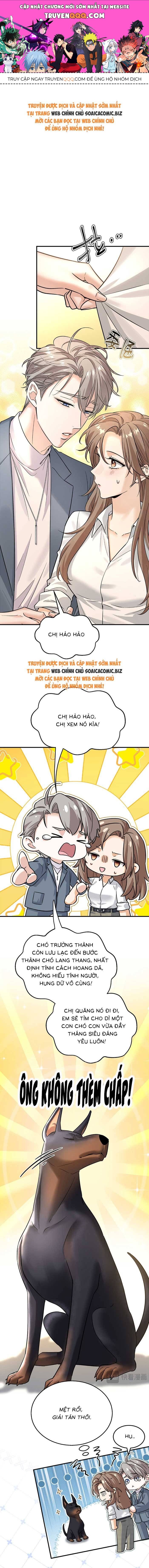 Tổng Tài Chó Chapter 10 - 1