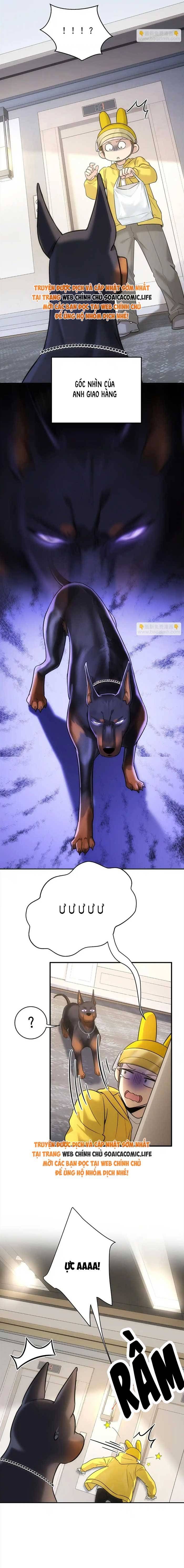 Tổng Tài Chó Chapter 11 - 3