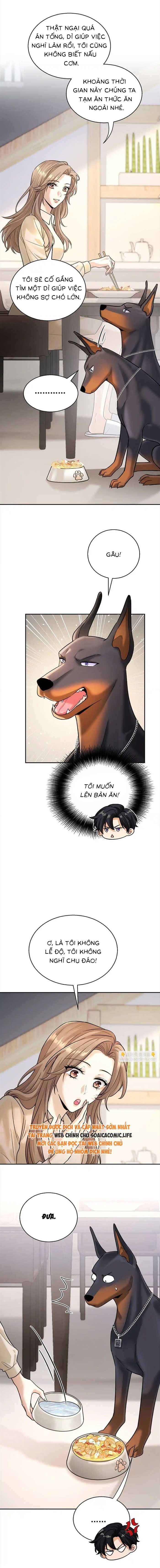 Tổng Tài Chó Chapter 11 - 5