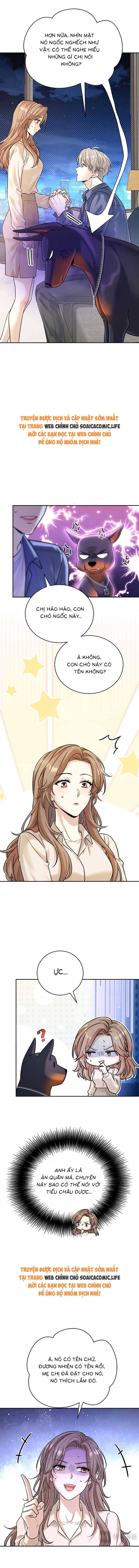 Tổng Tài Chó Chapter 12 - 2