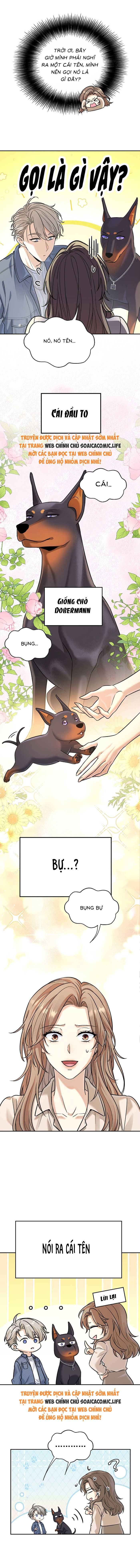 Tổng Tài Chó Chapter 12 - 3