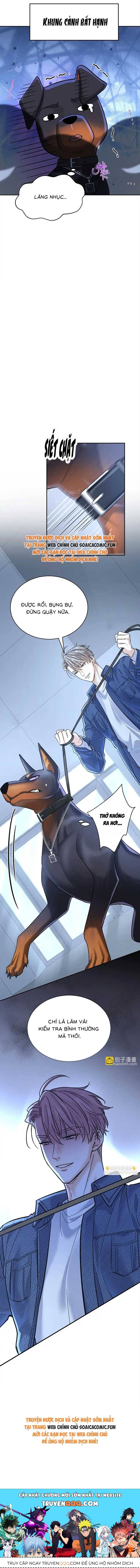 Tổng Tài Chó Chapter 13 - 11