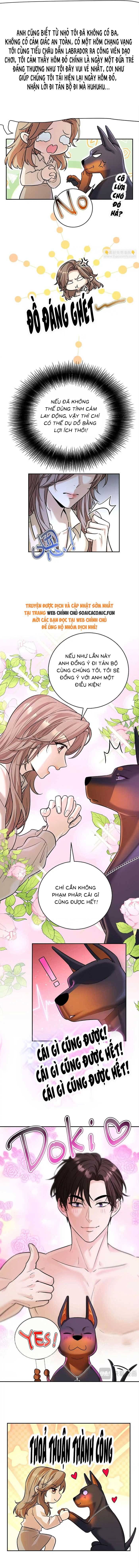 Tổng Tài Chó Chapter 13 - 4