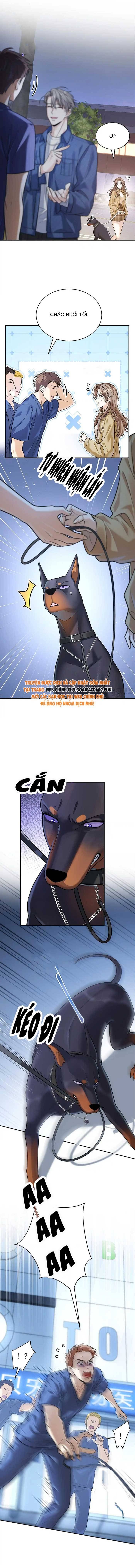 Tổng Tài Chó Chapter 13 - 6