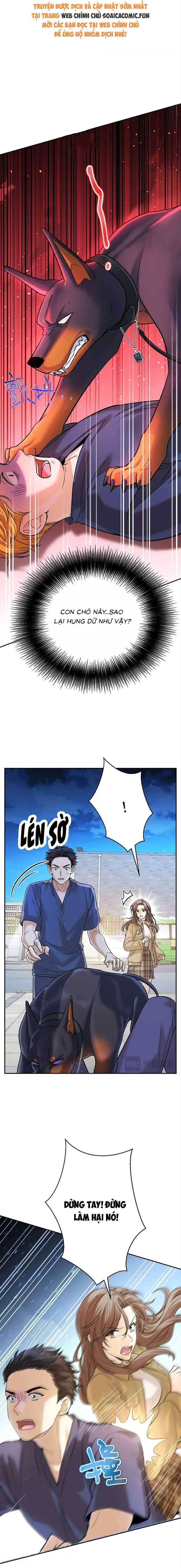 Tổng Tài Chó Chapter 13 - 8