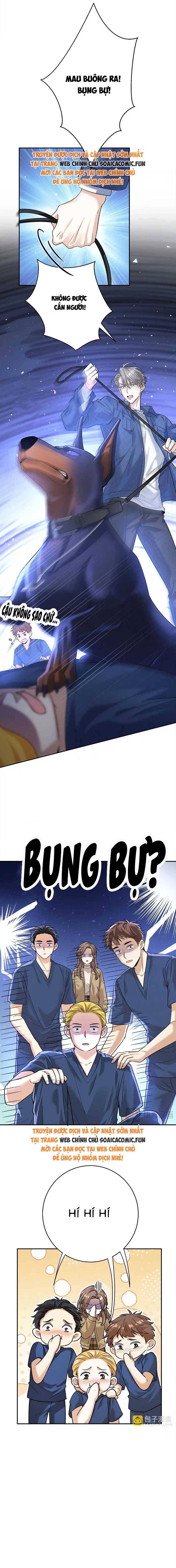 Tổng Tài Chó Chapter 13 - 10