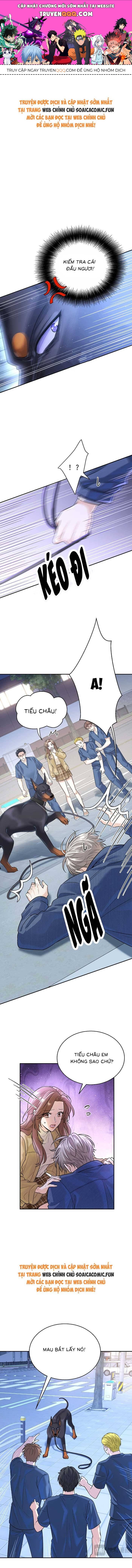 Tổng Tài Chó Chapter 14 - 1