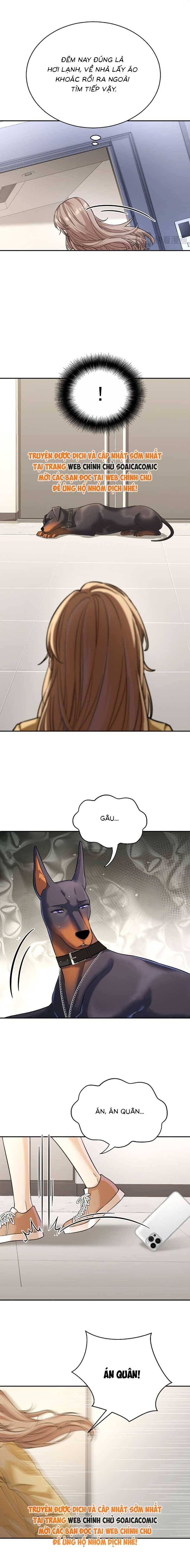 Tổng Tài Chó Chapter 15 - 8