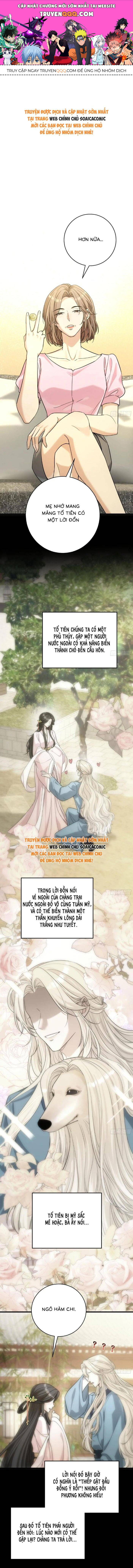 Tổng Tài Chó Chapter 39 - 1