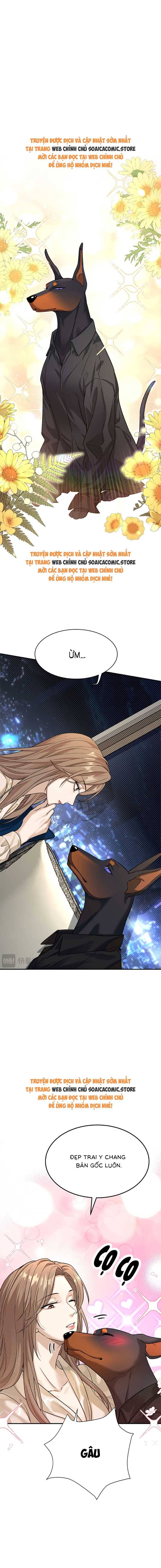 Tổng Tài Chó Chapter 4 - 6