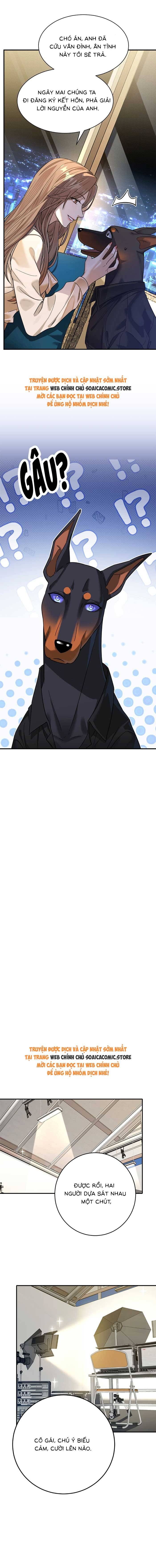 Tổng Tài Chó Chapter 4 - 7