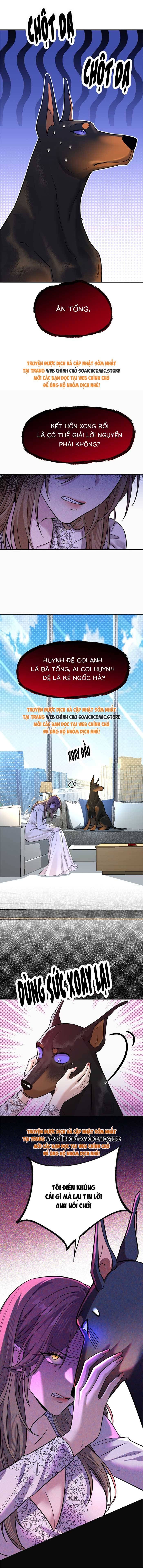 Tổng Tài Chó Chapter 4 - 9