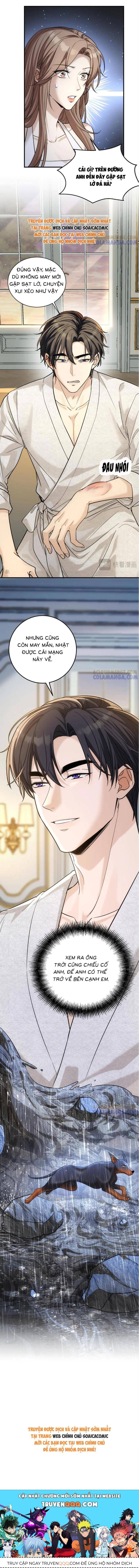 Tổng Tài Chó Chapter 42 - 12