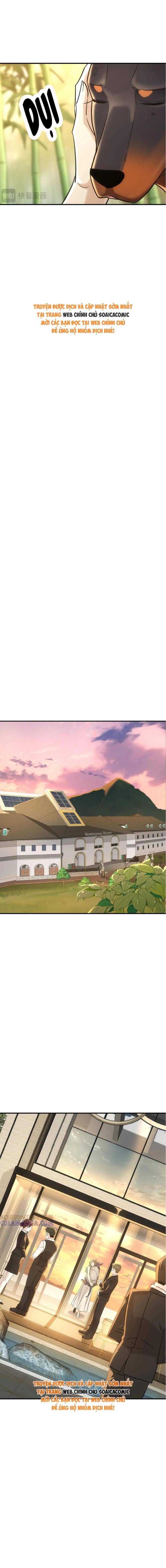 Tổng Tài Chó Chapter 42 - 7
