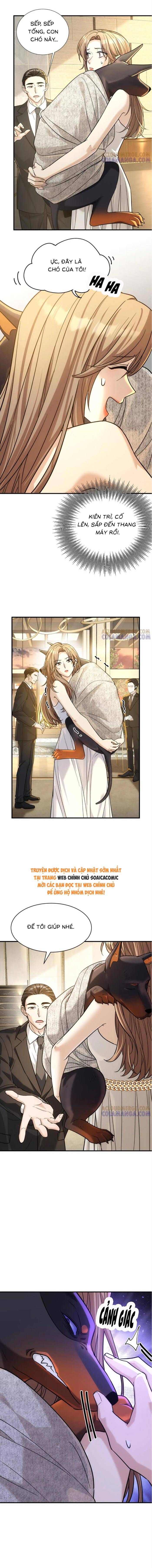 Tổng Tài Chó Chapter 42 - 8