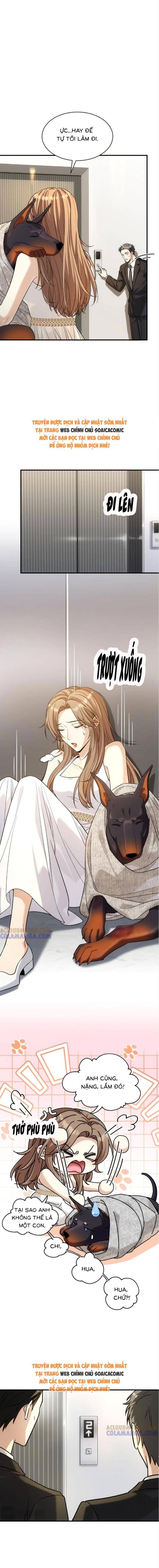 Tổng Tài Chó Chapter 42 - 9