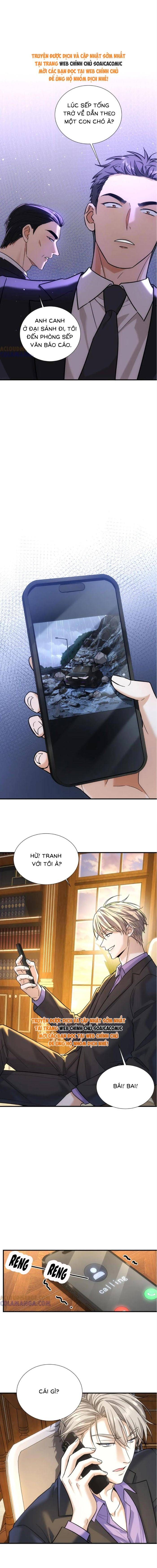 Tổng Tài Chó Chapter 42 - 10