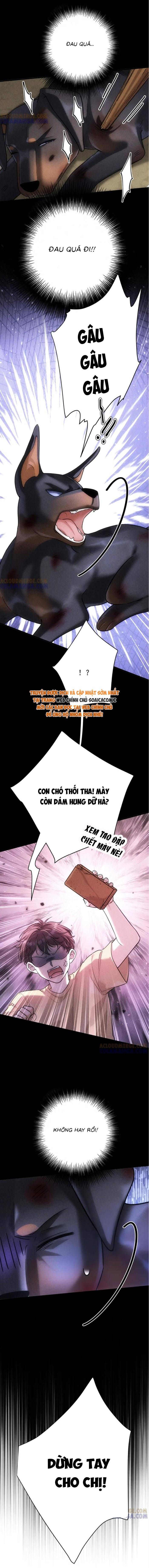 Tổng Tài Chó Chapter 47 - 4