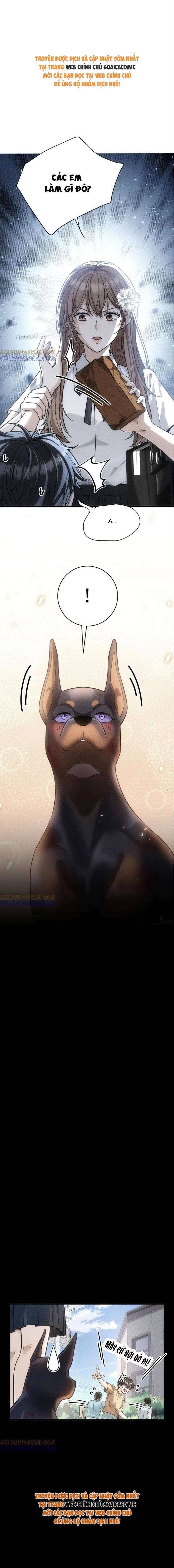 Tổng Tài Chó Chapter 47 - 5