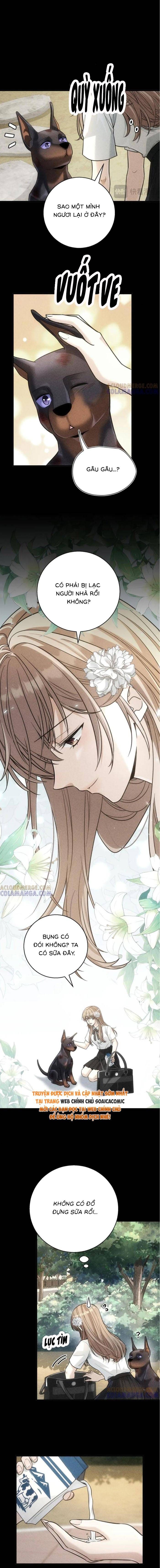 Tổng Tài Chó Chapter 47 - 6