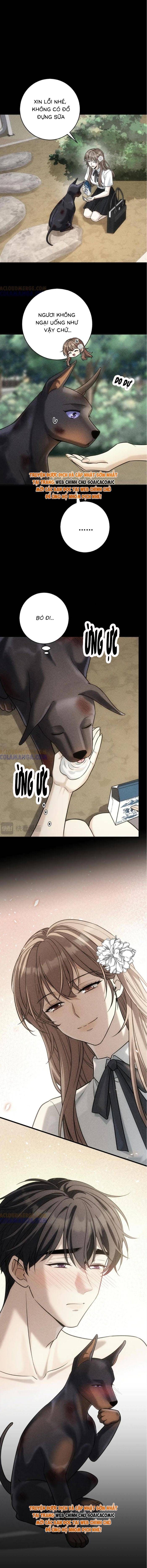 Tổng Tài Chó Chapter 47 - 7